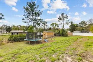 6426 Grapewood Rd, Spring Hill, FL 34609 - Photo 33