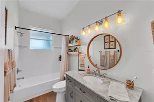 3921 Roswell Pl, Land O Lakes, FL 34639 - Photo 31