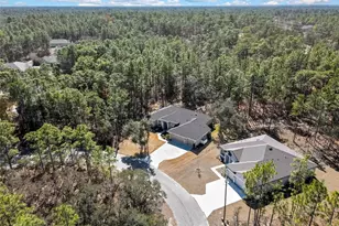 10 Milbark Ct, Homosassa, FL 34446 - Photo 45