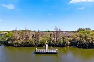 10668 Lake Montauk Dr, Riverview, FL 33578 - Photo 45