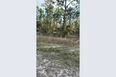 918 Belmont Street E, Lehigh Acres, FL 33974 - Photo 5