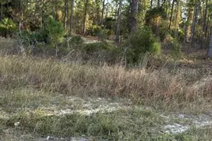 918 Belmont St E, Lehigh Acres, FL 33974 - Photo 5