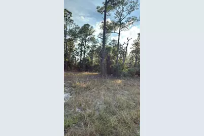 918 Belmont Street E, Lehigh Acres, FL 33974 - Photo 3