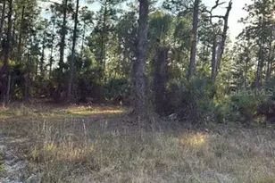 918 Belmont St E, Lehigh Acres, FL 33974 - Photo 3