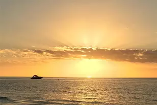 1460 Gulf Blvd, Clearwater Beach, FL 33767 - Photo 49