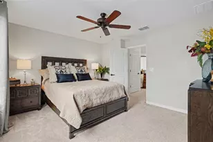 8165 Faire Frost Ln, Land O Lakes, FL 34637 - Photo 35