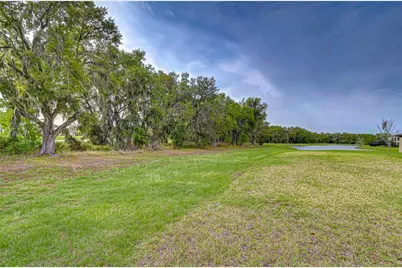 14733 Gallop Run Drive, Lithia, FL 33547 - Photo 33