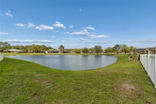 5323 Bold Venture Pl, Wesley Chapel, FL 33544 - Photo 43