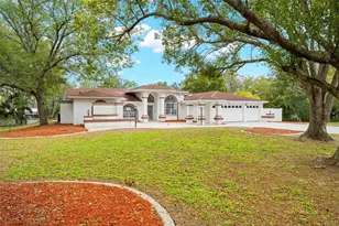 348 Florian Way, Spring Hill, FL 34609 - Photo 1
