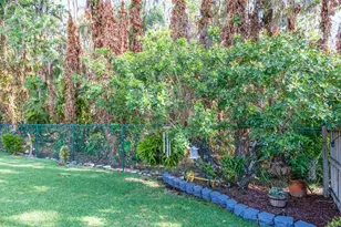 509 Lakeview Dr, Oldsmar, FL 34677 - Photo 63