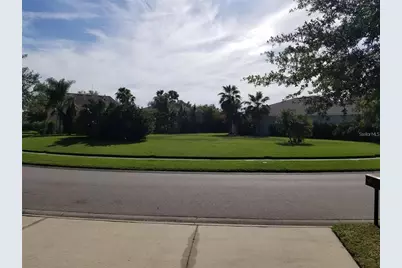 6218 Bridgevista Drive, Lithia, FL 33547 - Photo 3