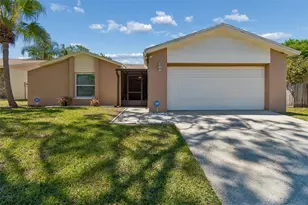 14827 Oak Vine Dr, Lutz, FL 33559 - Photo 1