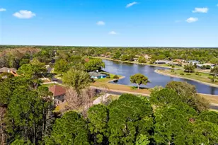 4453 Lake in the Woods Dr, Spring Hill, FL 34607 - Photo 81