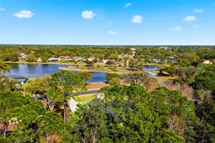 4453 Lake in the Woods Dr, Spring Hill, FL 34607 - Photo 79