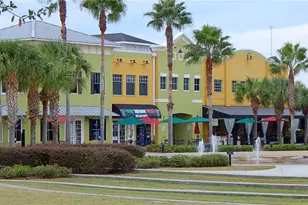 6519 Bridgecrest Dr, Lithia, FL 33547 - Photo 39