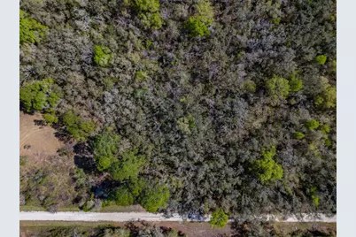 7252 Sonia Avenue, Webster, FL 33597 - Photo 5