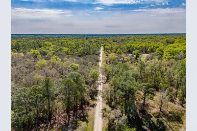 7262 Sonia Avenue, Webster, FL 33597 - Photo 15