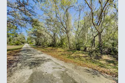 7262 Sonia Avenue, Webster, FL 33597 - Photo 11