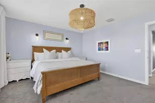 6066 Golden Nettle Dr, Apollo Beach, FL 33572 - Photo 29