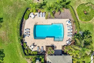 2733 Conch Hollow Dr, Brandon, FL 33511 - Photo 29