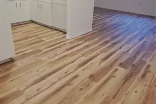 3037 Park Ln, Dunedin, FL 34698 - Photo 7