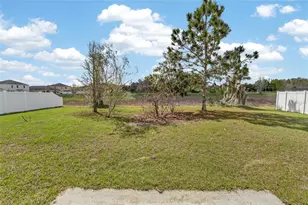 35716 Hillbrook Ave, Zephyrhills, FL 33541 - Photo 47