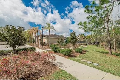 35716 Hillbrook Avenue, Zephyrhills, FL 33541 - Photo 53