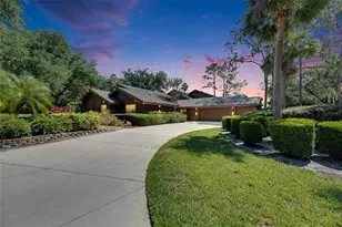 29903 Baywood Ln, Wesley Chapel, FL 33543 - Photo 1