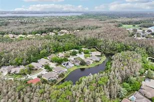 4941 Kylemore Ct, Palm Harbor, FL 34685 - Photo 73