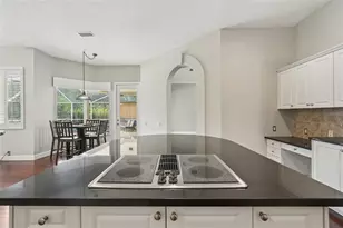 4941 Kylemore Ct, Palm Harbor, FL 34685 - Photo 11