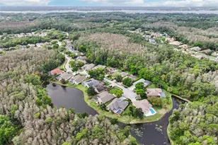 4941 Kylemore Ct, Palm Harbor, FL 34685 - Photo 71