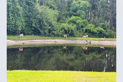 4941 Kylemore Court, Palm Harbor, FL 34685 - Photo 77