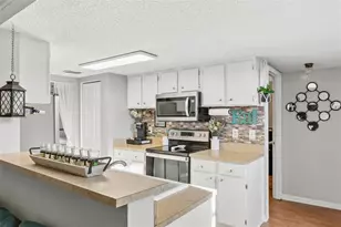 12231 Armenia Gables Cir, Tampa, FL 33612 - Photo 5