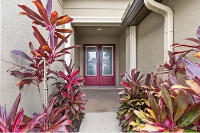 6539 Boulder Run Loop, Wesley Chapel, FL 33545 - Photo 5