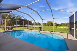 12461 Hobson Simmons Rd, Lithia, FL 33547 - Photo 21