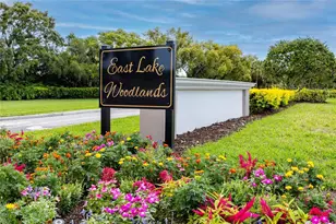 1471 Briargrove Way, Oldsmar, FL 34677 - Photo 83