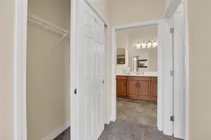 210 Shell Falls Dr, Apollo Beach, FL 33572 - Photo 29