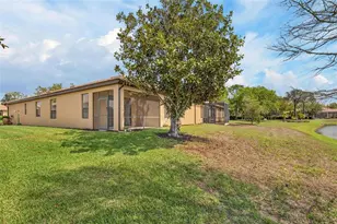 210 Shell Falls Dr, Apollo Beach, FL 33572 - Photo 53