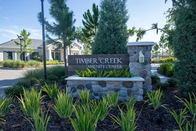 10231 Opaline Sky Court, Riverview, FL 33578 - Photo 41