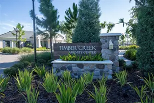 10231 Opaline Sky Ct, Riverview, FL 33578 - Photo 41
