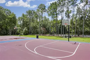 10053 New Parke Rd, Tampa, FL 33626 - Photo 61