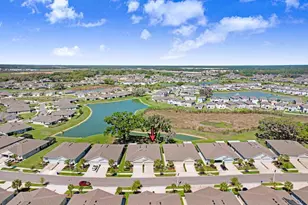 31411 Mango Fade Wy, San Antonio, FL 33576 - Photo 27