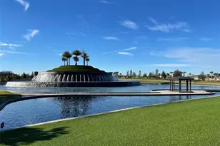 31411 Mango Fade Wy, San Antonio, FL 33576 - Photo 61