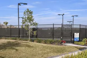 3887 Immacolata Wy, Wesley Chapel, FL 33543 - Photo 15