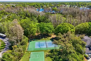 3629 Whistling Ln, Land O Lakes, FL 34639 - Photo 33