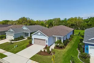 13536 Old Creek Ct, Parrish, FL 34219 - Photo 79