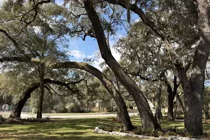 597 Sand Wedge Loop, Apopka, FL 32712 - Photo 3