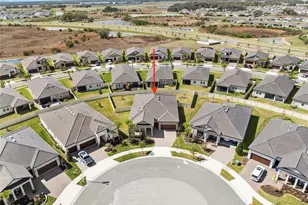 31875 Magna Gulf Loop, San Antonio, FL 33576 - Photo 57