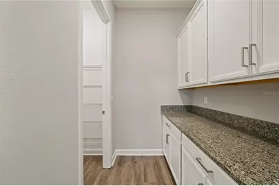 31875 Magna Gulf Loop, San Antonio, FL 33756 - Photo 25