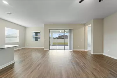 31875 Magna Gulf Loop, San Antonio, FL 33756 - Photo 11